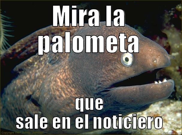 MIRA LA PALOMETA QUE SALE EN EL NOTICIERO Bad Joke Eel