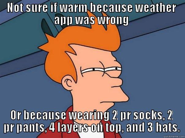 Chicago weather conundrum - NOT SURE IF WARM BECAUSE WEATHER APP WAS WRONG OR BECAUSE WEARING 2 PR SOCKS, 2 PR PANTS, 4 LAYERS ON TOP, AND 3 HATS. Futurama Fry