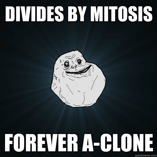 Divides by Mitosis Forever A-CLONE  Forever Alone