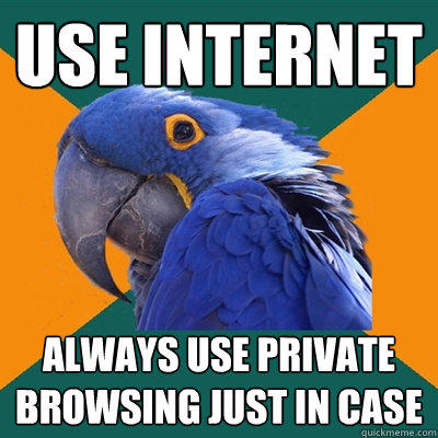 Use internet ALWAYS use private browsing just in case - Use internet ALWAYS use private browsing just in case  Paranoid Parrot