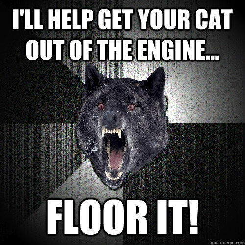 I'll help get your cat out of the engine... Floor it!  