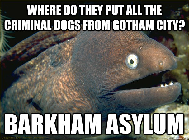 Where do they put all the criminal dogs from Gotham City? Barkham asylum - Where do they put all the criminal dogs from Gotham City? Barkham asylum  Bad Joke Eel