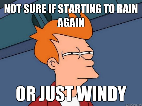 Not sure if starting to rain again  or just windy  Futurama Fry