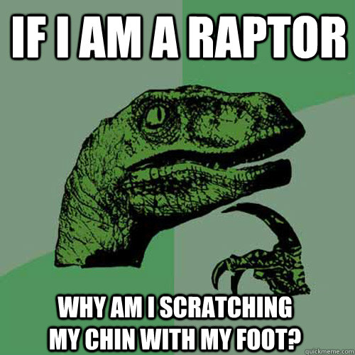 If I am a raptor Why am I scratching my chin with my foot? - If I am a raptor Why am I scratching my chin with my foot?  Philosoraptor