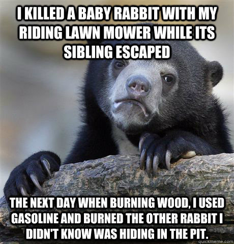 I killed a baby rabbit with my riding lawn mower while its sibling escaped the next day when burning wood, i used gasoline and burned the other rabbit i didn't know was hiding in the pit.  Confession Bear