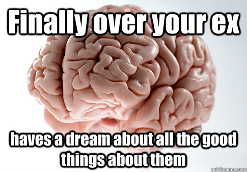 Finally over your ex haves a dream about all the good things about them   Scumbag Brain