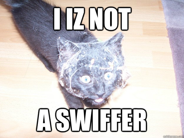 i iz not a swiffer  