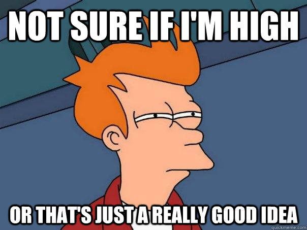 not sure if I'm high or that's just a really good idea - not sure if I'm high or that's just a really good idea  Futurama Fry