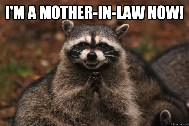 I'm a mother-in-law now!  - I'm a mother-in-law now!   Evil Plotting Raccoon