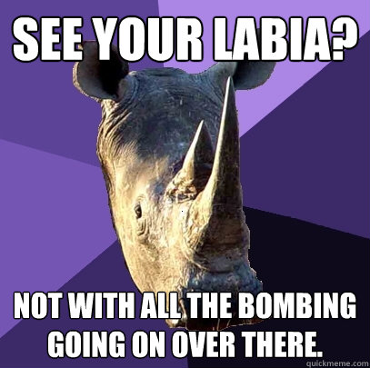 see your labia? not with all the bombing going on over there.  Sexually Oblivious Rhino