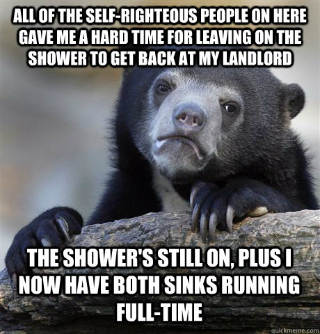 all of the self-righteous people on here gave me a hard time for leaving on the shower to get back at my landlord the shower's still on, plus i now have both sinks running full-time   Confession Bear