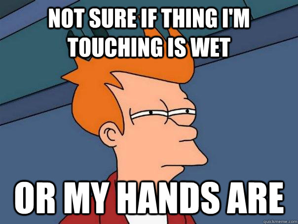 Not sure if thing i'm touching is wet Or my hands are  Futurama Fry