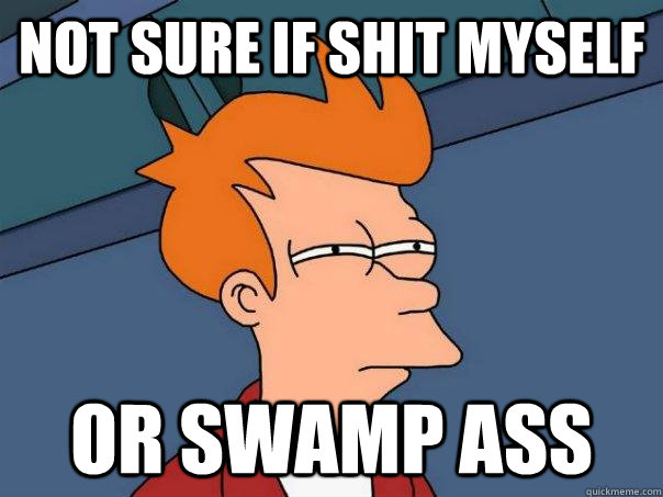 Not sure if shit myself Or swamp ass - Not sure if shit myself Or swamp ass  Futurama Fry