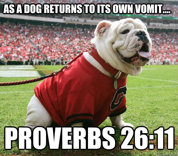 As a dog returns to its own vomit.... Proverbs 26:11 - As a dog returns to its own vomit.... Proverbs 26:11  Yes This is UGA