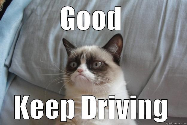 GOOD KEEP DRIVING Grumpy Cat