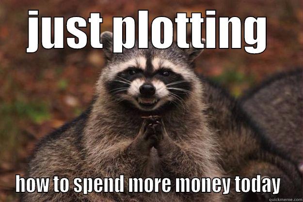 evil plot - JUST PLOTTING HOW TO SPEND MORE MONEY TODAY  Evil Plotting Raccoon