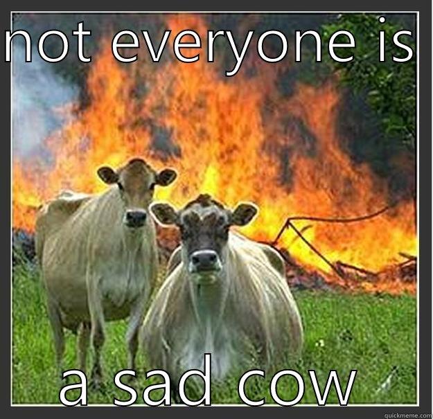 NOT EVERYONE IS  A SAD COW Evil cows