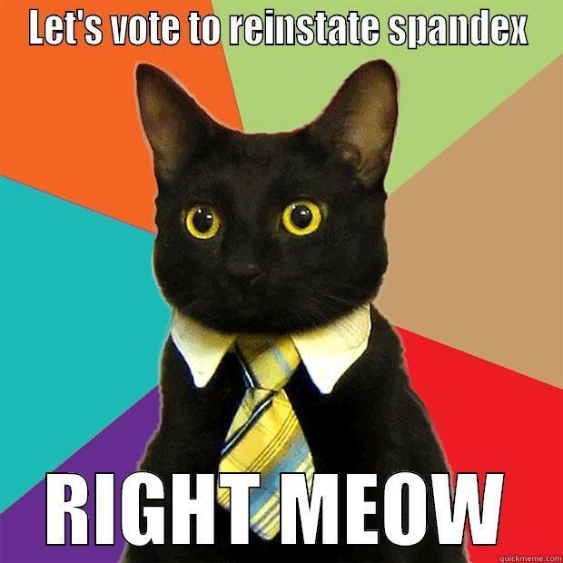 LET'S VOTE TO REINSTATE SPANDEX RIGHT MEOW Business Cat