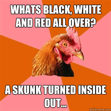 whats black, white and red all over? a skunk turned inside out... - whats black, white and red all over? a skunk turned inside out...  Anti-Joke Chicken