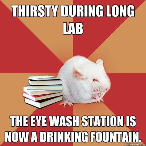 Thirsty During long lab The eye wash station is now a drinking fountain.  Science Major Mouse