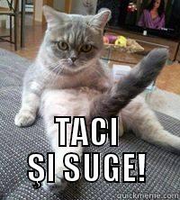  TACI ŞI SUGE! Misc