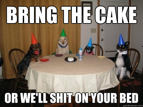 Bring the cake Or we'll shit on your bed - Bring the cake Or we'll shit on your bed  Dog party need cake