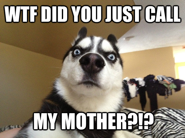 wtf did you just call my mother?!?  