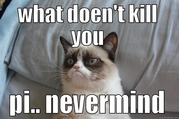 WHAT DOEN'T KILL YOU PI.. NEVERMIND Grumpy Cat