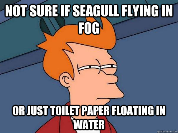 Not sure if Seagull flying in fog Or just toilet paper floating in water  Futurama Fry