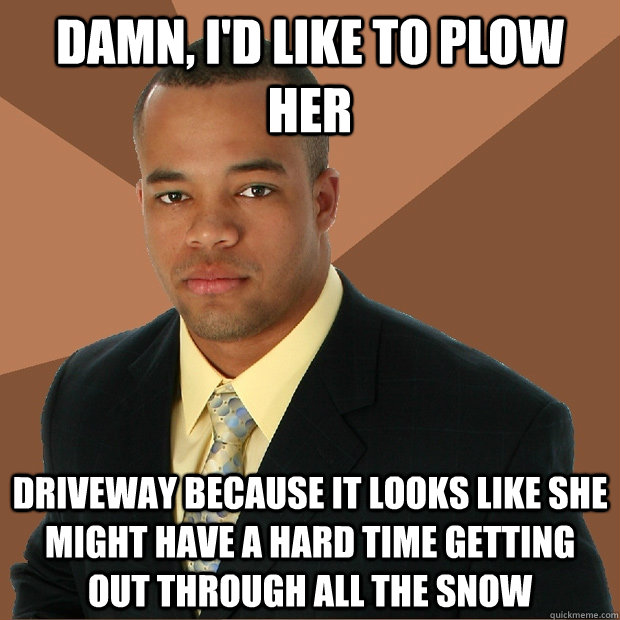 damn, i'd like to plow her driveway because it looks like she might have a hard time getting out through all the snow  Successful Black Man