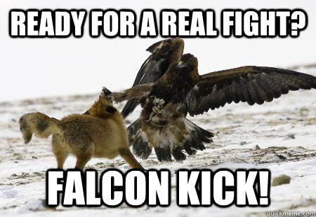 ready for a real fight? Falcon kick!  