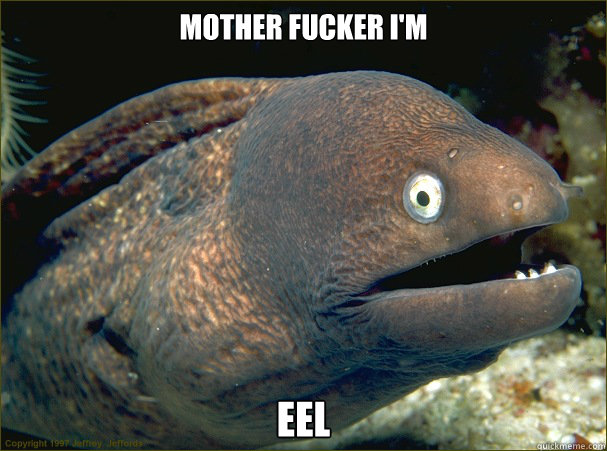 Mother fucker I'm EEl  Bad Joke Eel