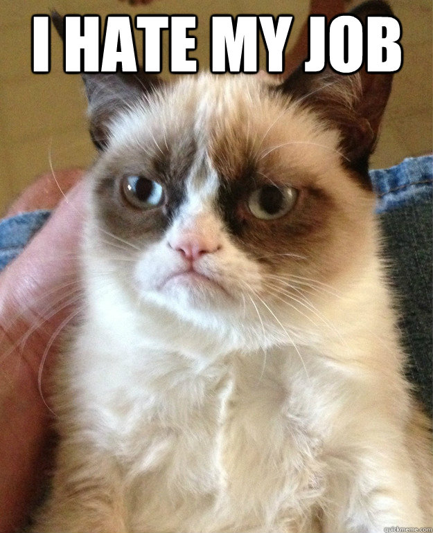 I hate my job   Grumpy Cat