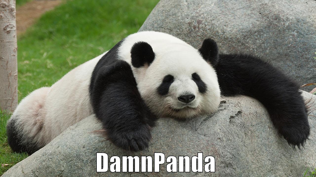  DAMNPANDA Misc