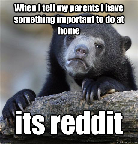 When I tell my parents I have something important to do at home its reddit  Confession Bear