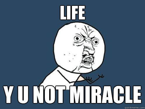 life y u not miracle  Y U No