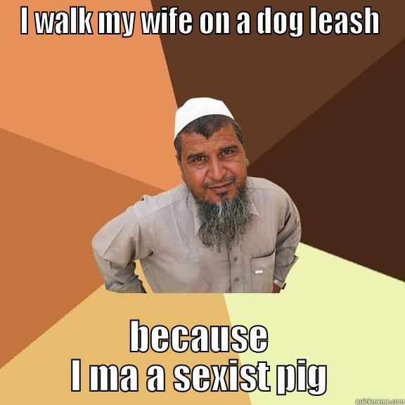 I WALK MY WIFE ON A DOG LEASH BECAUSE I MA A SEXIST PIG Ordinary Muslim Man