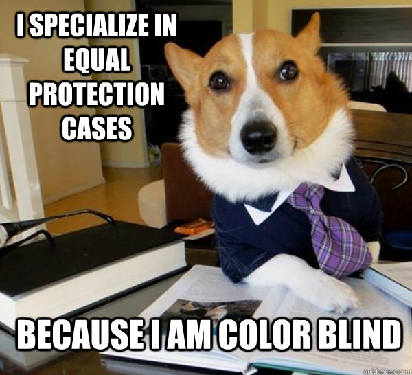 I specialize in equal protection cases because i am color blind  Lawyer Dog