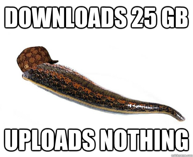 Downloads 25 GB uploads nothing - Downloads 25 GB uploads nothing  Scumbag Leech