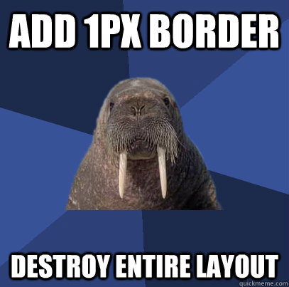 add 1px border destroy entire layout  Web Developer Walrus