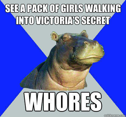 See a pack of girls walking into victoria's secret whores  Skeptical Hippo