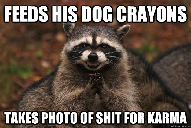 Feeds his dog crayons takes photo of shit for karma - Feeds his dog crayons takes photo of shit for karma  Evil Plotting Raccoon