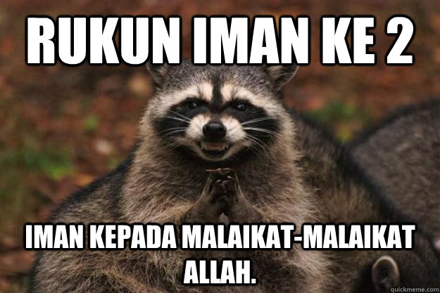 RUkun Iman ke 2 Iman kepada malaikat-malaikat Allah.  Evil Plotting Raccoon