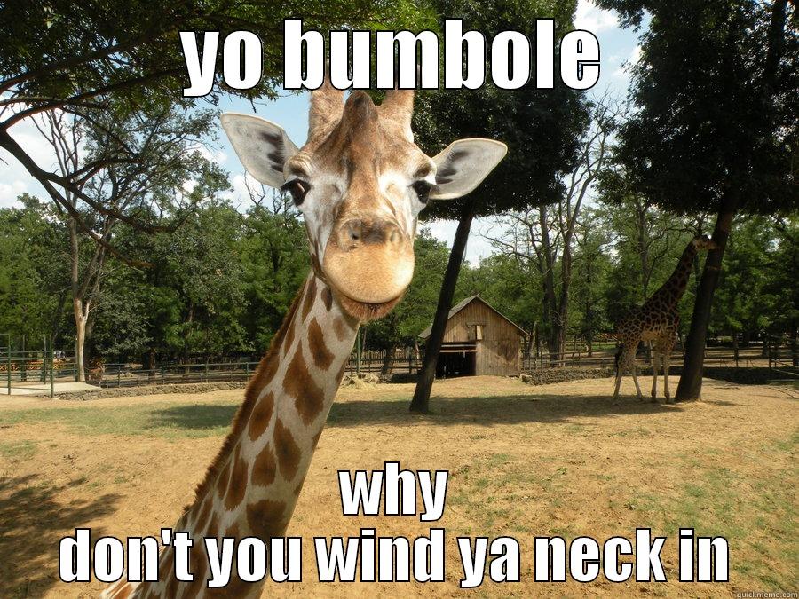 nosey neighbours - YO BUMBOLE WHY DON'T YOU WIND YA NECK IN Misc