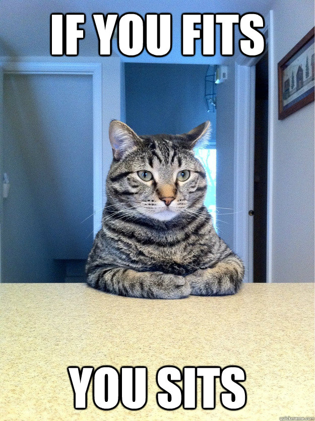 If you fits you sits  Chris Hansen Cat