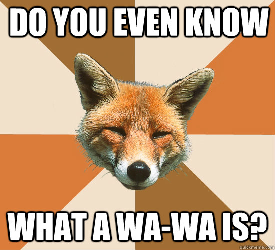 Do you even know what a Wa-Wa is?  Condescending Fox