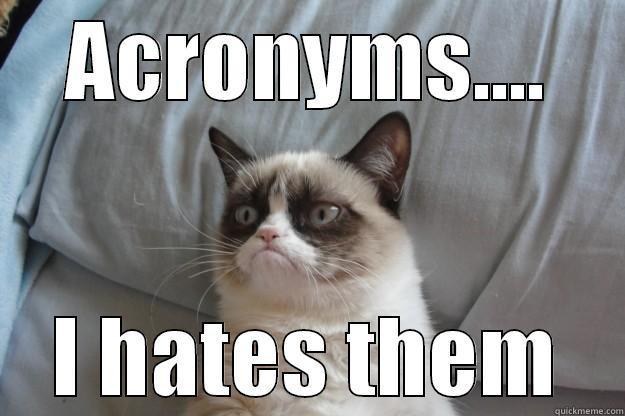 work hazard identification - ACRONYMS.... I HATES THEM Grumpy Cat