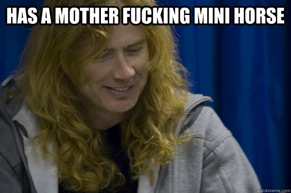 Has a mother fucking mini horse  - Has a mother fucking mini horse   Good guy metalhead