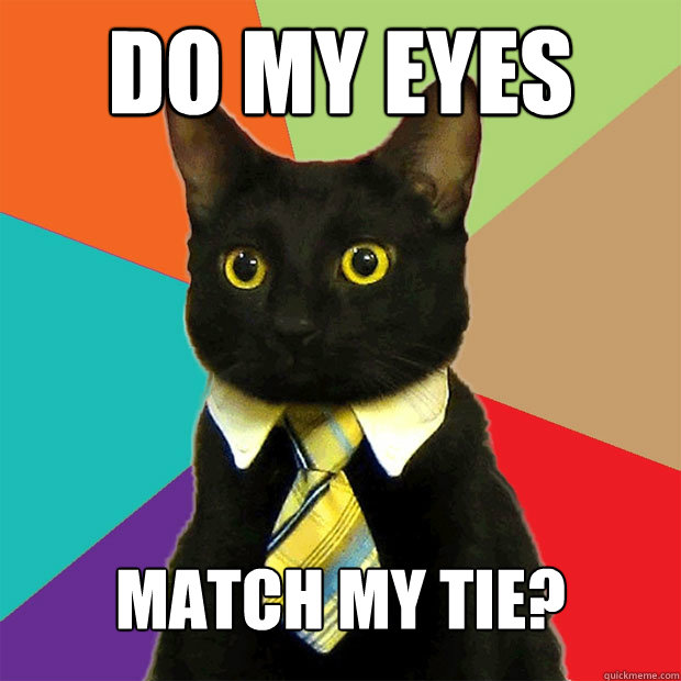 Do my eyes Match my tie?  Business Cat