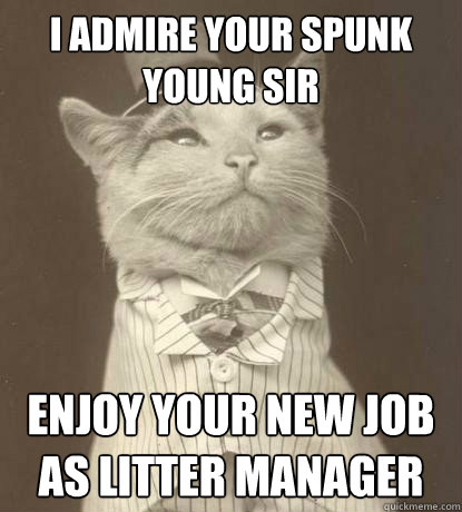 I admire your spunk young sir enjoy your new job as litter manager  Aristocat